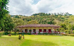 La Cabana Ecohotel - Valle Del Cocora